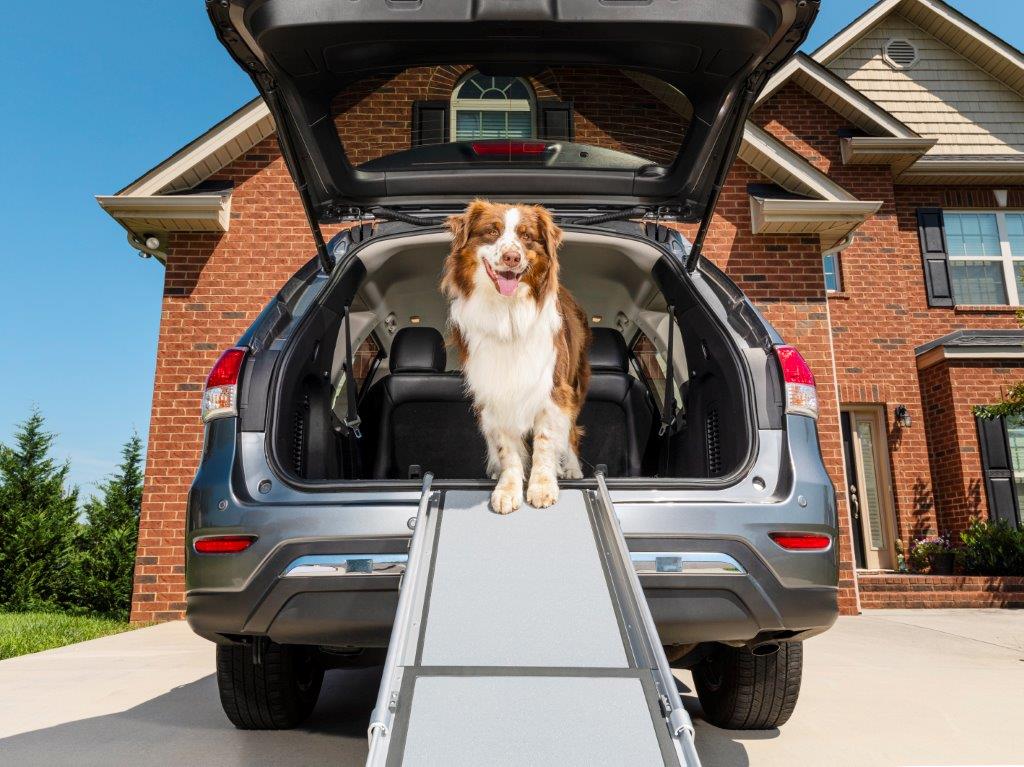 PetSafe® Happy Ride™ Extra-long Telescoping Dog Ramp